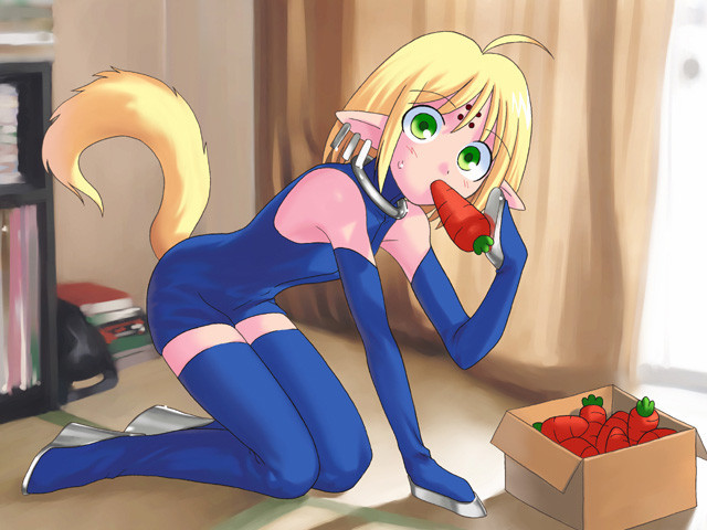 Type-Moon - Kagetsu Tohya Final + 18 original tracks + Extras (eng) Porn Game
